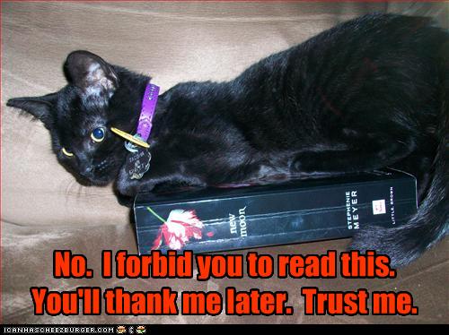 funny-pictures-cat-does-not-want-you-to-read-book.jpg